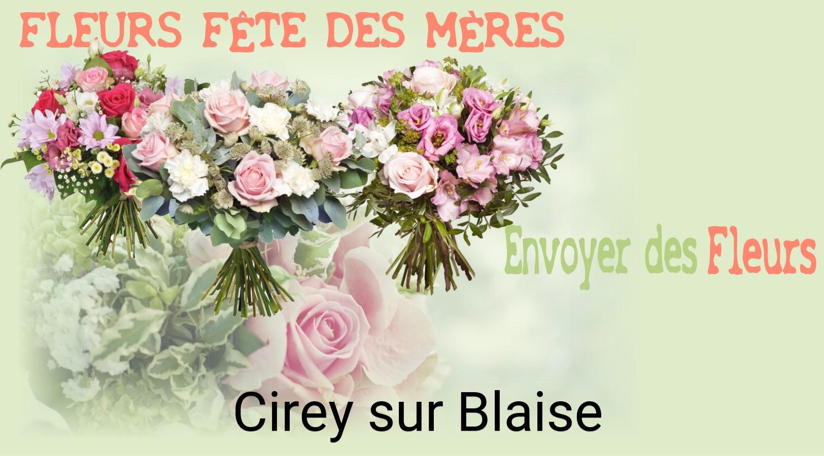 Bouquet de Fête des Mères livré à Cirey-sur-Blaise